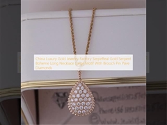 চায়না লাক্সারি গোল্ড জুয়েলারি ফ্যাক্টরি সার্পেরিয়েল গোল্ড সর্পেন্ট বোহেম লং নেকলেস ব্রোচ পিন পেভ ডায়মন্ড সহ বড় মোটিফ